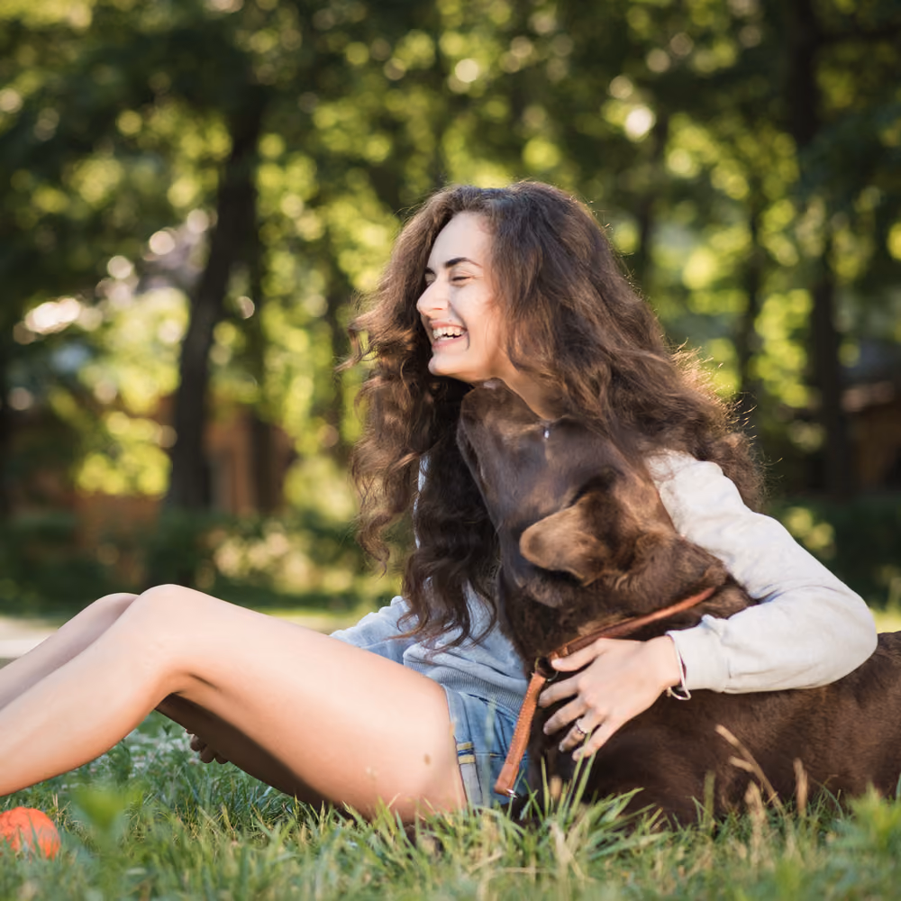 Ailesiyle birlikte yaşam alanında köpek – sosyal katman